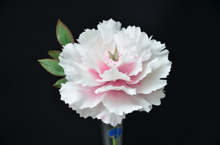 Фото-отчет с курсов Оксаны Ксеницы в Кондитерской Студии ТортикАннушка