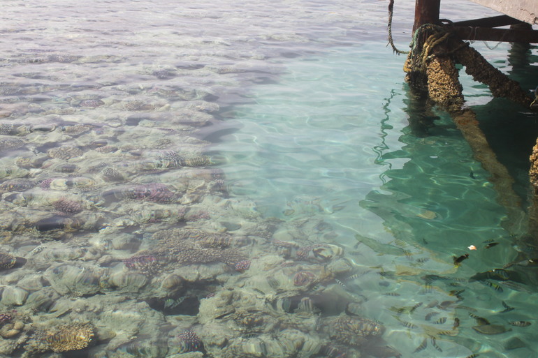 Наш апрельский отдых в Хургаде Hilton long Beach