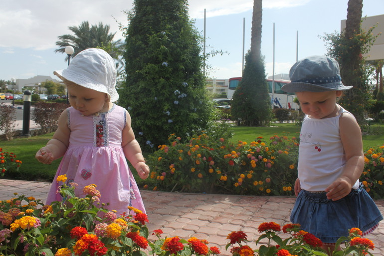 Наш апрельский отдых в Хургаде Hilton long Beach