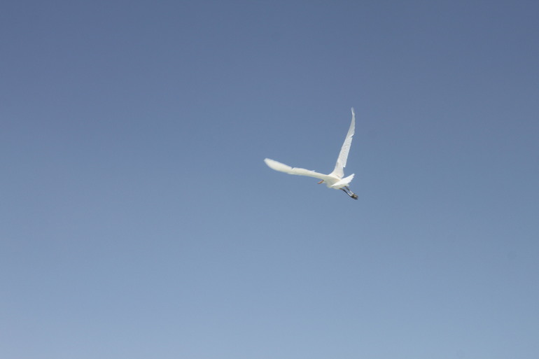 Наш апрельский отдых в Хургаде Hilton long Beach