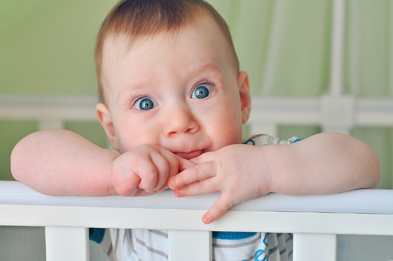 8 месяцев. Фото.