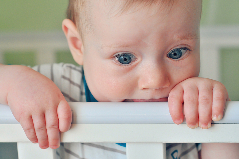 8 месяцев. Фото.