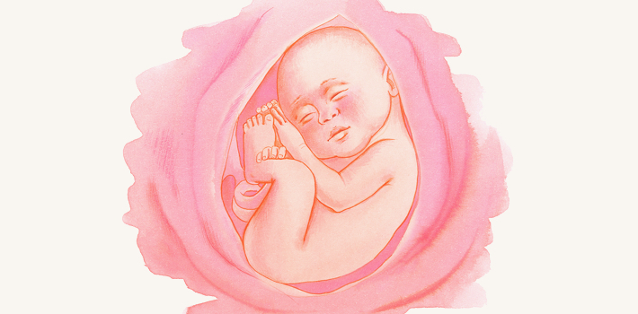 Календарь беременности и родов