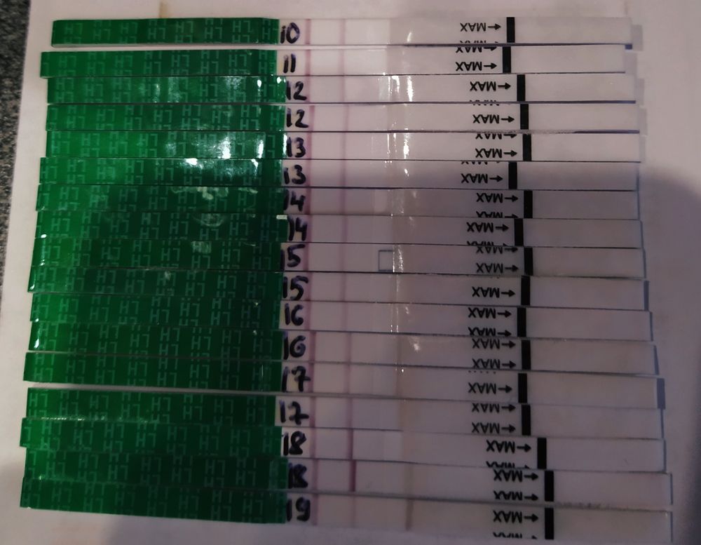 6д. Овуляция 10. Овуляция на 10 день цикла при 28. Овуляция сдвинулась на 10 день цикла. Овуляция 10.