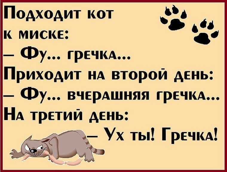 Придет ко второму. Анекдот про гречку. Анекдот прогречеу и кота. Вау гречка анекдот про кота. Шутки про гречку.