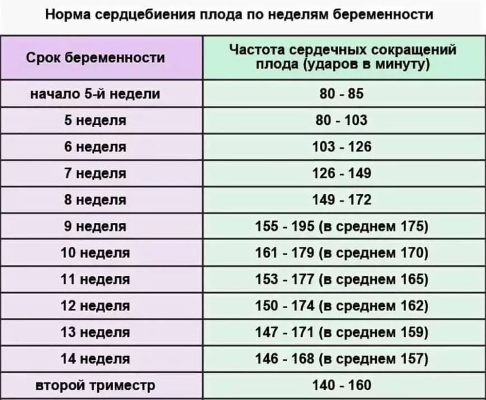 Нормы беременности. Норма сердцебиения плода по неделям. Сердцебиение плода по неделям нормы таблица. Норма сердцебиения плода на 20 неделе. Частота сердечных сокращений плода в норме.