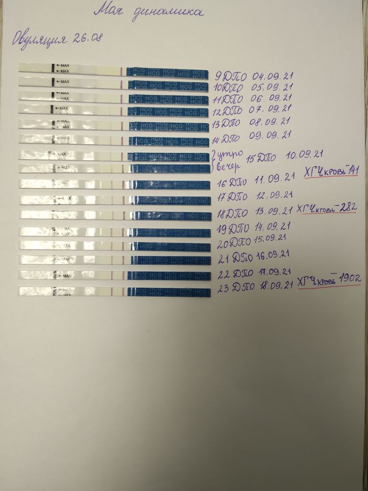 Динамика тестов на беременность и хгч. Тест полоски на хгч. Тест полоска хгч. Хгч тест на беременность. Тест полоска хгч.