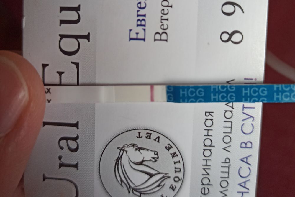 жду зарплату прикол. отрицательный тест на беременность. ждем месячные. жду зарплату картинки. полнолуние приколы.