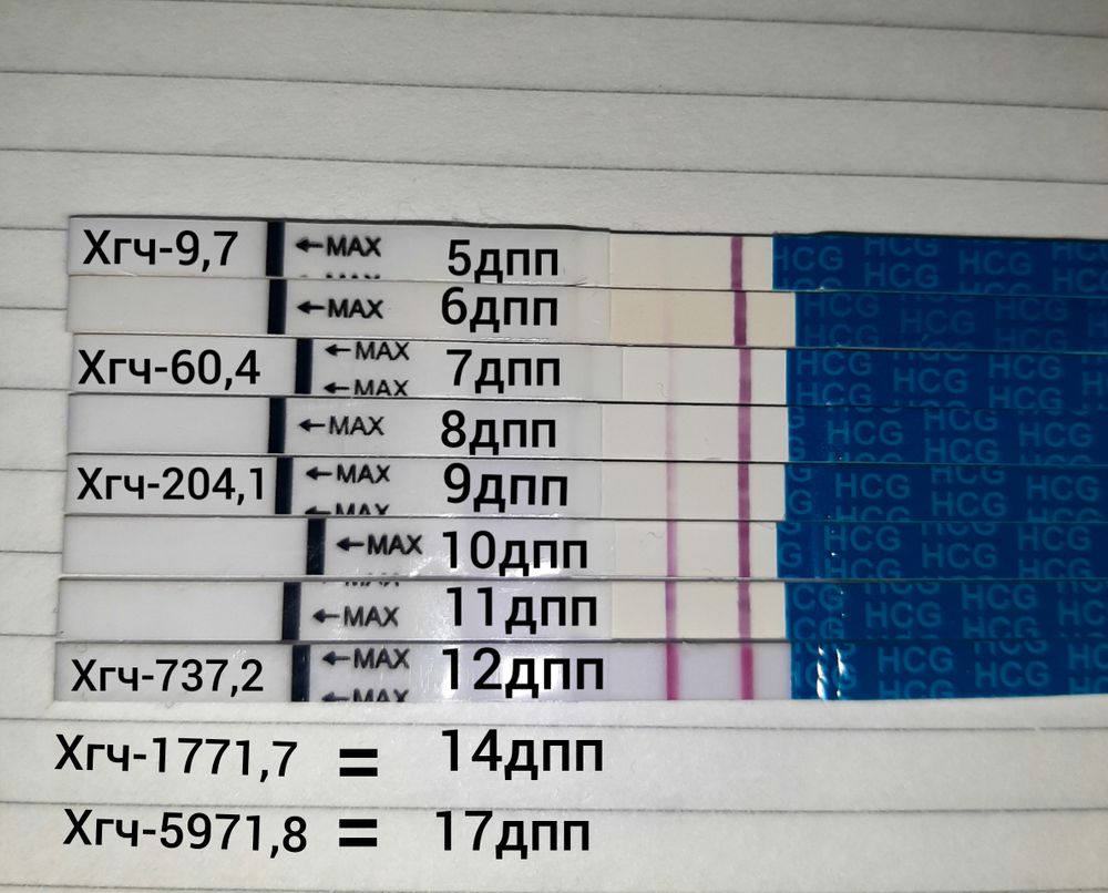 5 Дпп, едва заметная полоска на тесте — 25 ответов | форум Babyblog