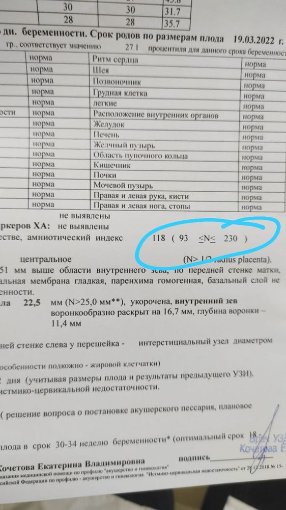 Вы точно человек?