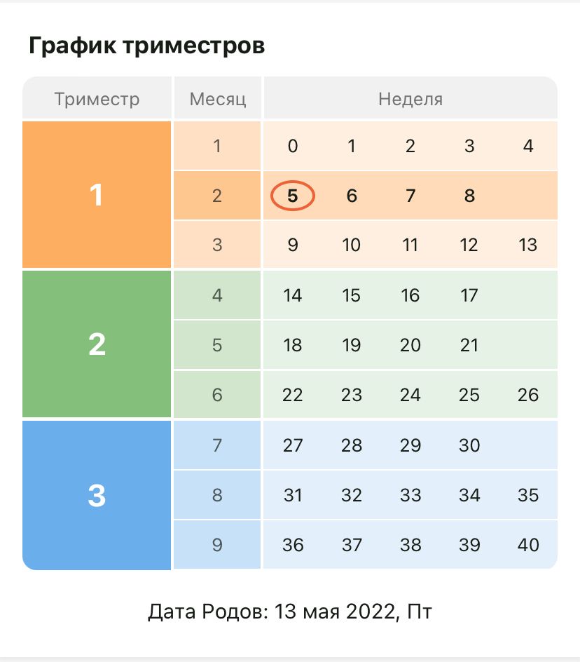 6 вопросов о беременности и зачатии