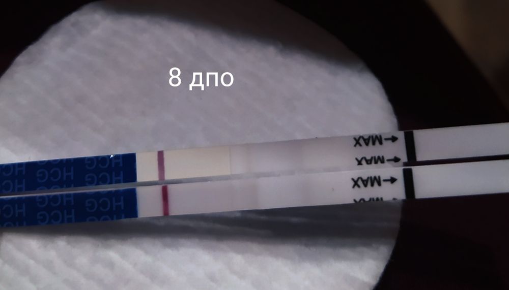 8 дпо. 8 ДПО ощущения. 7 ДПО белые кремообразные выделения. 8 ДПО выделения в беременном цикле форум. Плаксивое состояние на 8 ДПО.