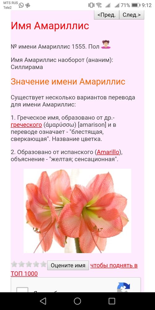 Изображение