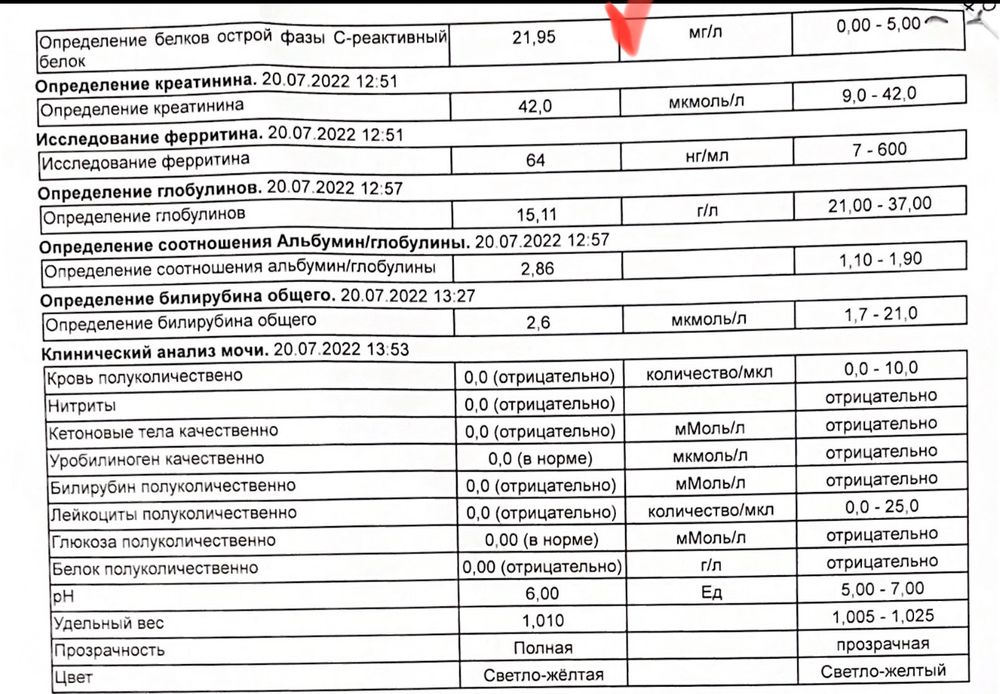 С реактивные белки анализ повышен что значит. С реактивные белки анализ повышен что значит. С реактивные белки анализ повышен что значит. С реактивные белки анализ повышен что значит. Нормы ц реактивного белка у детей.