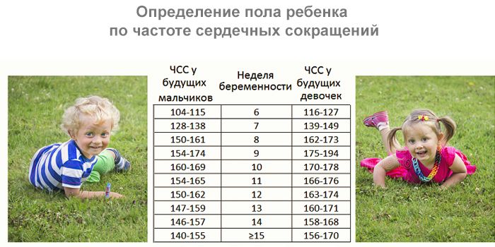 Как определить детей. Пол ребёнка по таблице сердцебиения. определение пола ребенка по чсс. как по частоте сердцебиения определить пол ребенка. чсс плода мальчика и девочки.