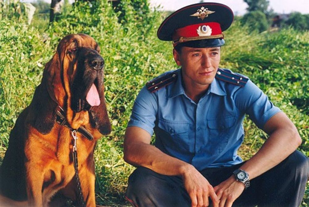 Работа на благо общества