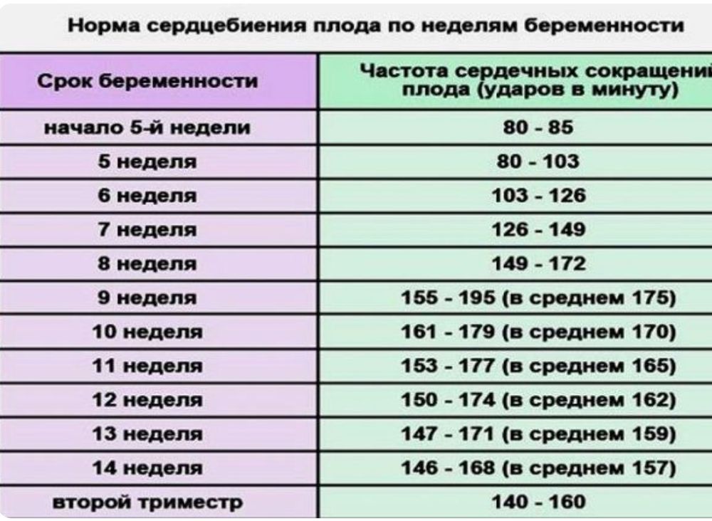 Беременность 37 недель таблица норма
