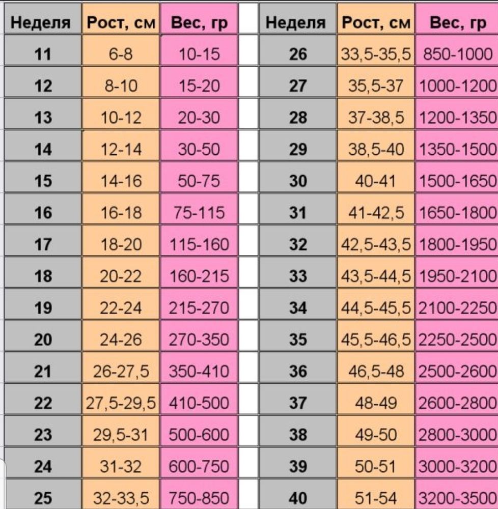Беременность 36 недель диета без спорта