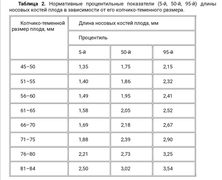 Носовая кость в 13 недель норма таблица