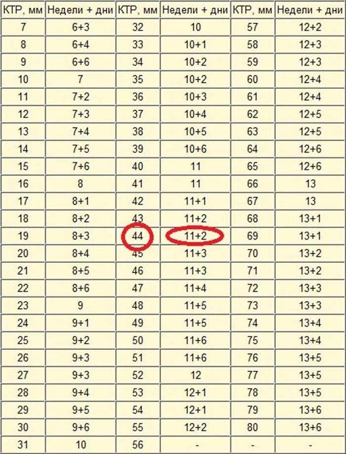 КТП плода по неделям: таблица показателей нормы по дням …