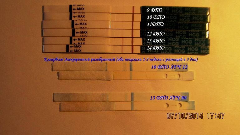 Испытания 1 недели. Электронный тест и ХГЧ. ХГЧ И электронный тест на беременность. Разобранный электронный тест отрицательный. Электронный тест ДПО.