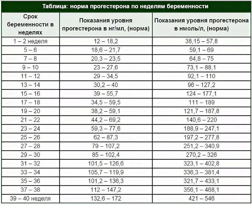 Презентация "Заболевания крови"