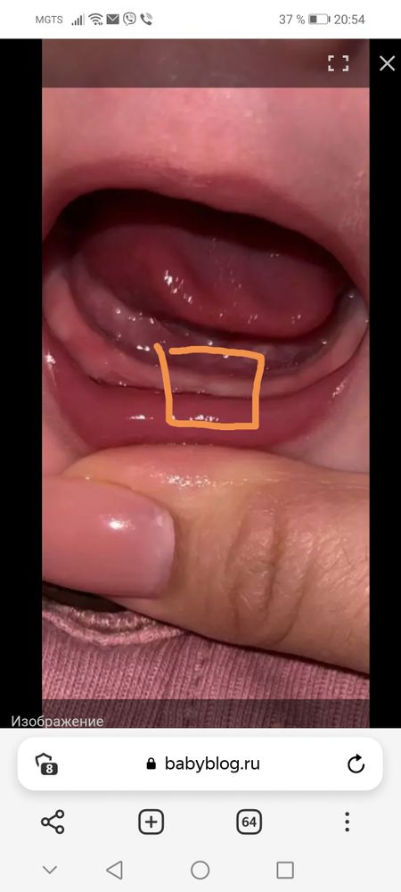 Изображение