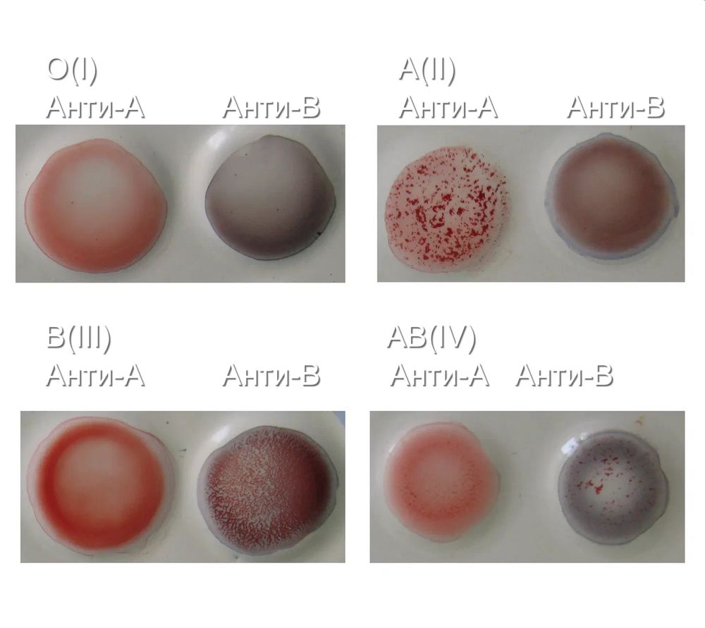Группа крови и резус фактор фото