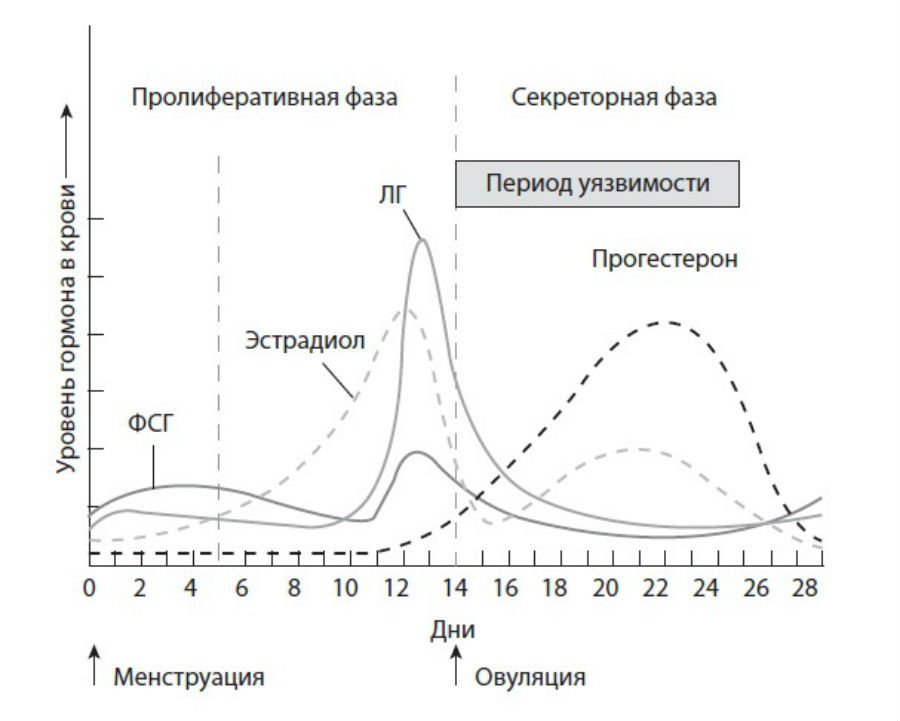 Витамин е при нарушении менструационного цикла схема лечения