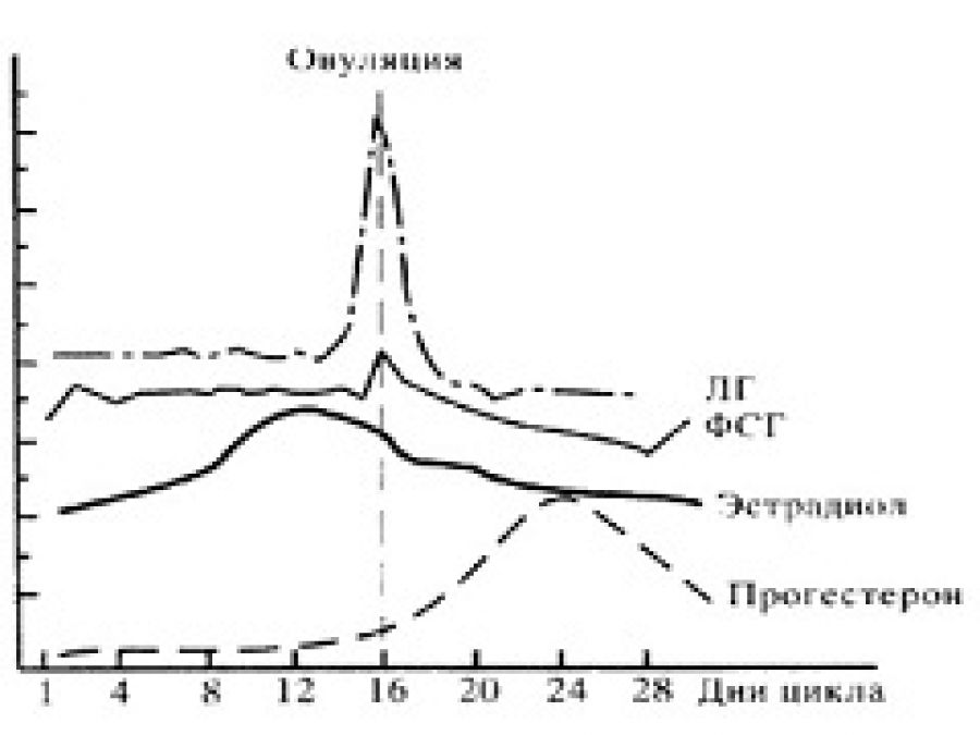 Гормон фсг на какой день