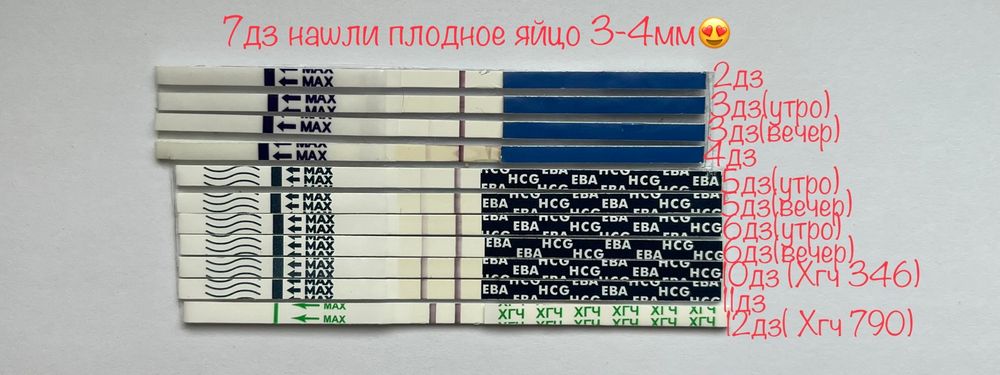 Поздняя овуляция: возможна ли беременность и когда?