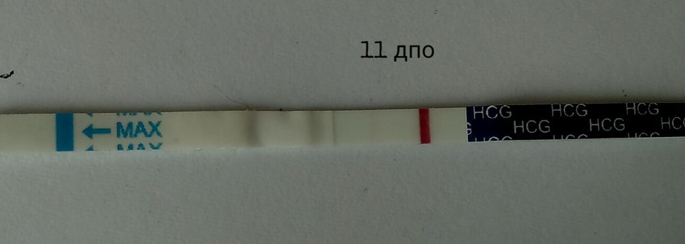 5 дпо. Призрак полоска на тесте на 10 ДПО. Первый призрак 11 ДПО. 11 ДПО призрак на тесте на беременность. 11 ДПО фраутест призрак.