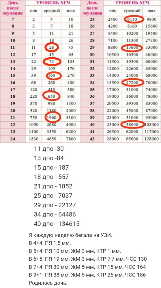 ХГЧ: норма по дням и по неделям — блог …