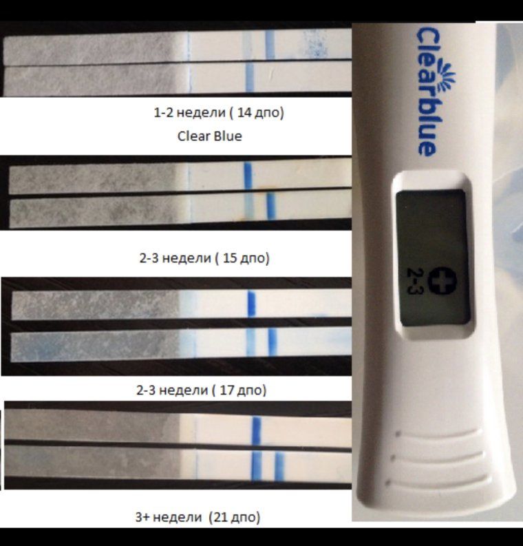 How To Read A Pregnancy Test Clear Blue - Read.gameslol.uk