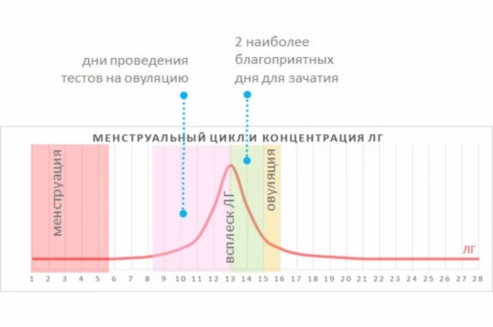 Гормональный всплеск и возбуждение спровоцировали странную реакцию