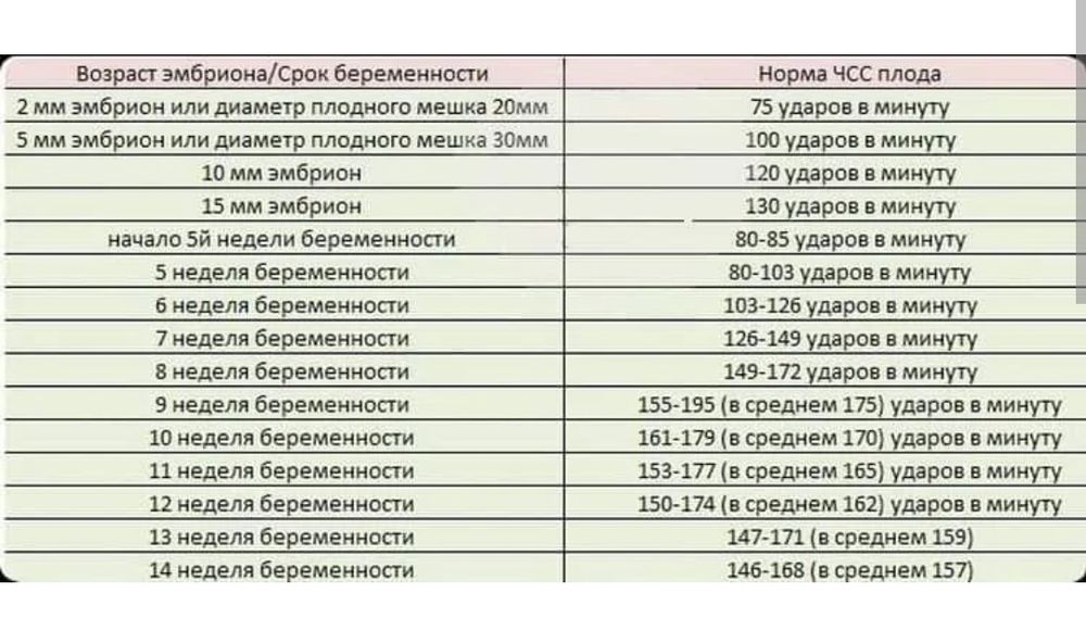 Нарушения сердечного ритма (аритмии): виды аритмии, причины и лечение