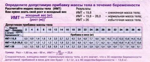 23 неделя вес прибавка