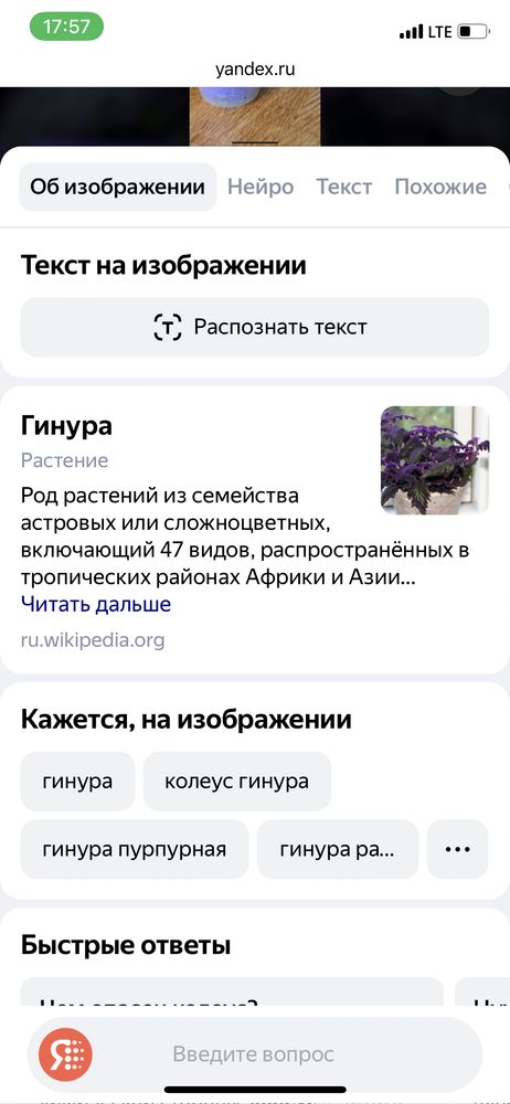 Изображение