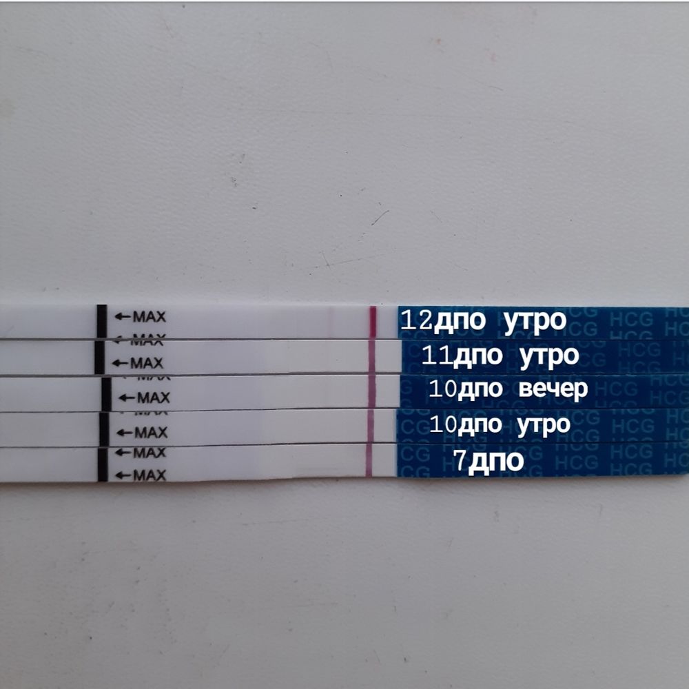 Дпо рб. ДПО цикл. 12 ДПО цикл 28 дней. 12 День после овуляции. Тесты 9 ДПО цикл 28 дней.