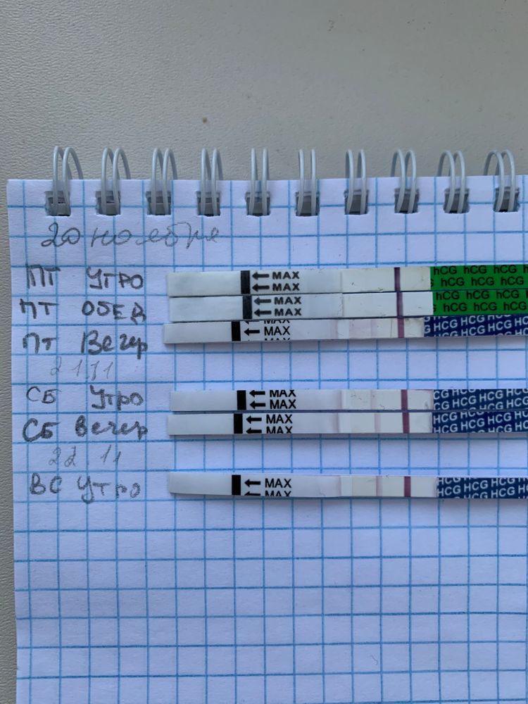 Тест динамика. Динамика тестов на беременность. Динамика тестов на беременность по дням. Динамика тестов и ХГЧ. Динамика тестов после эко.