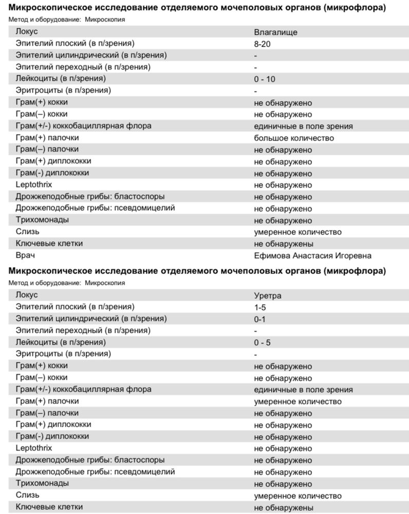 Микроскопическая картина v что это значит у женщин