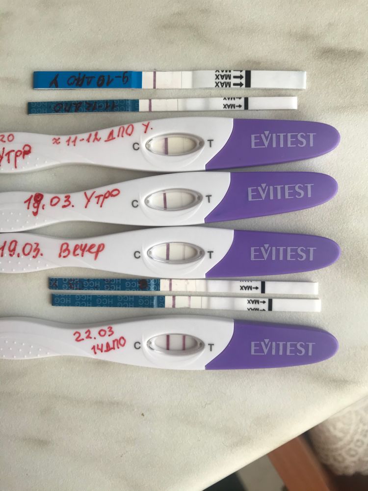 Ранние тесты на беременность до задержки форум. Динамика тестов на беременность. Тест на беременность в динамике. Струйный тест эвитест. Динамика по тестам эвитест.