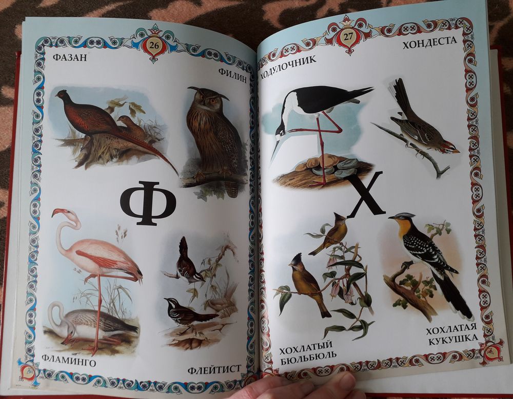 Читать про птиц