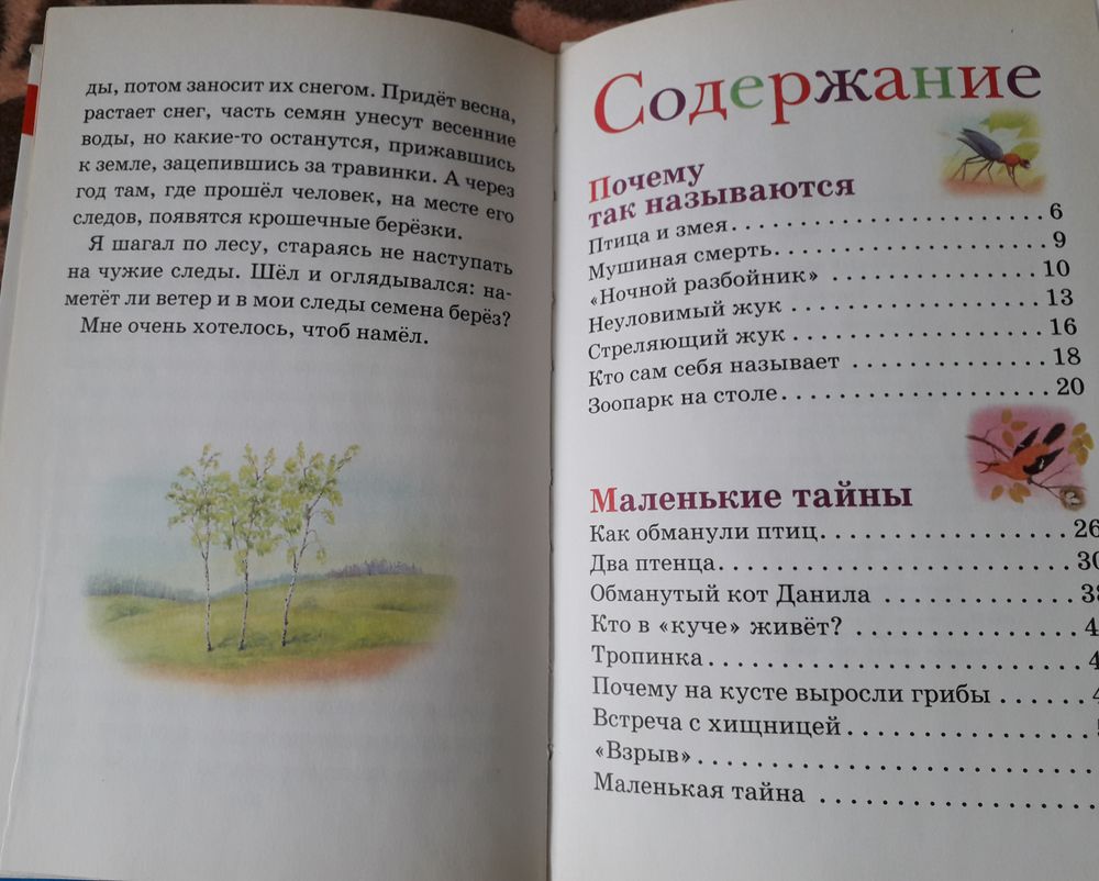 Подборка книг про птиц ч.3 — 15 ответов | форум Babyblog