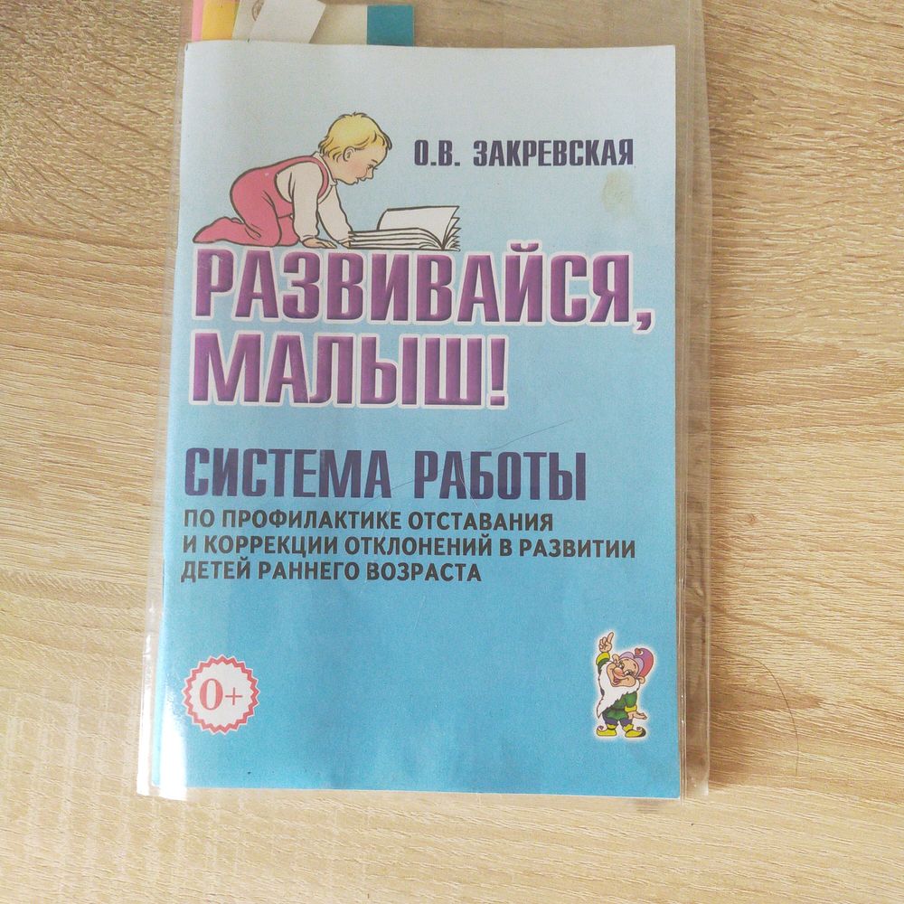 Обзор профессиональной литературы для развития речи дома для ребенка от 1  до 4. — 20 ответов | форум Babyblog