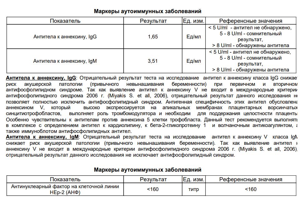 Антитела к кардиолипину igg. Антитела к аннексину v. Повышены антитела к аннексину. Антитела к аннексину IGG повышен. Антитела к аннексину v классов IGG.