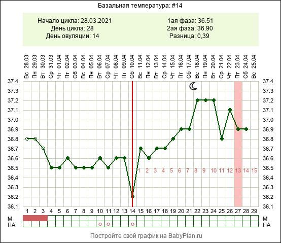 Не чувствую овуляцию. Болит ли грудь при овуляции. Процесс овуляции и оплодотворение. График лг и овуляции. Овуляция.