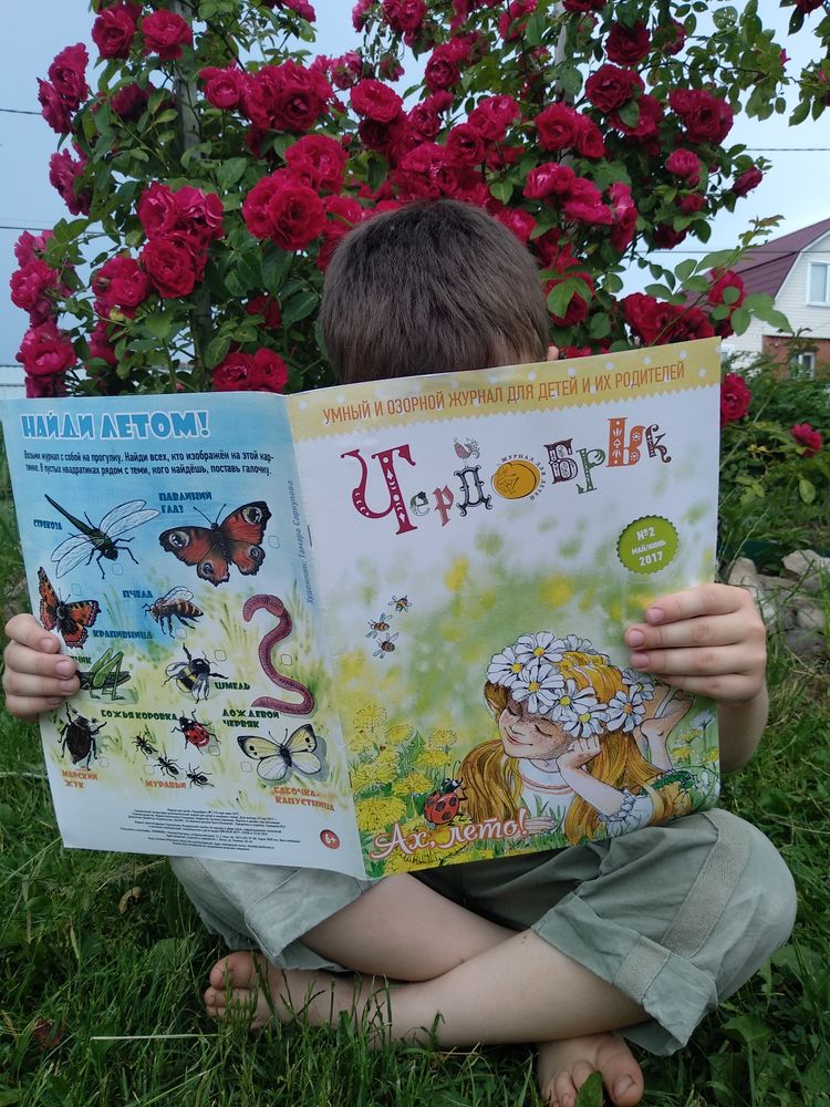 Изображение