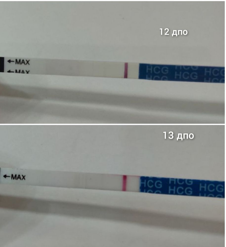 13 дпо. 13 ДПО тест. 13 День ДПО. 13 День после овуляции. 13 ДПО тест на беременность.