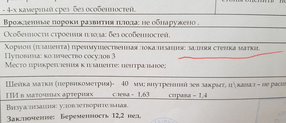 Крепление хориона по задней стенке